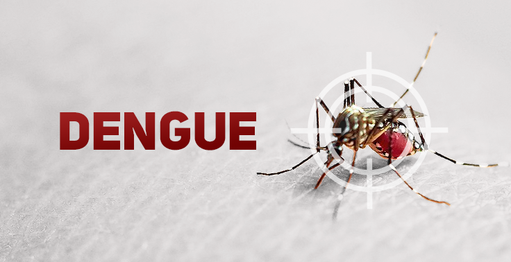 Imagem informativa sobre dengue. À esquerda, em fundo claro e desfocado, aparece a palavra "DENGUE" em letras grandes, maiúsculas e vermelhas. À direita, há um mosquito Aedes aegypti pousado sobre a pele humana, com o abdômen avermelhado por estar alimentado de sangue. Um símbolo de mira branco está sobreposto ao mosquito, destacando-o como o vetor da doença. A composição enfatiza a identificação e o combate ao inseto transmissor da dengue.