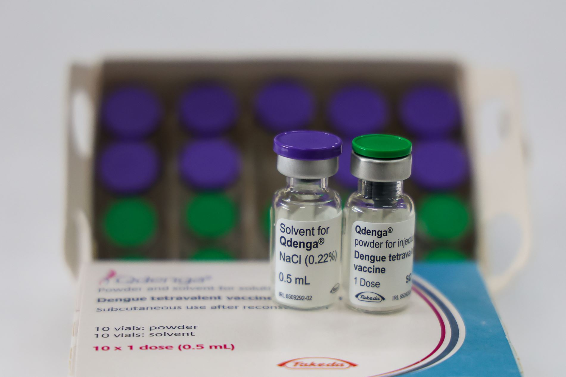 vacina dengue