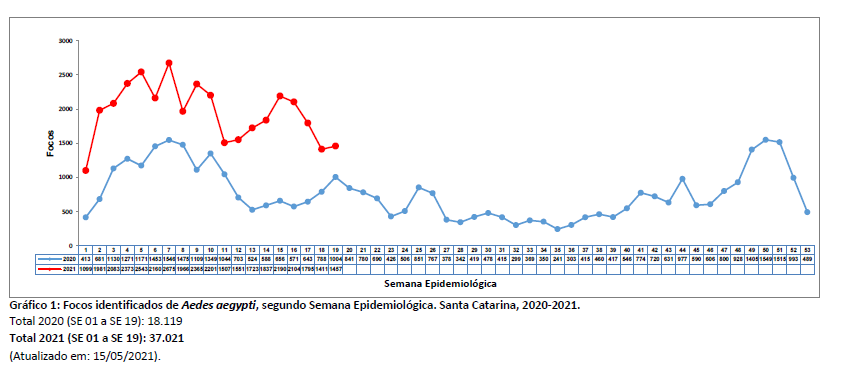 grafico1