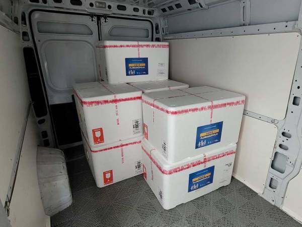 Com mais de 2 milhões de doses, Santa Catarina inicia nova distribuição da vacina contra a influenza